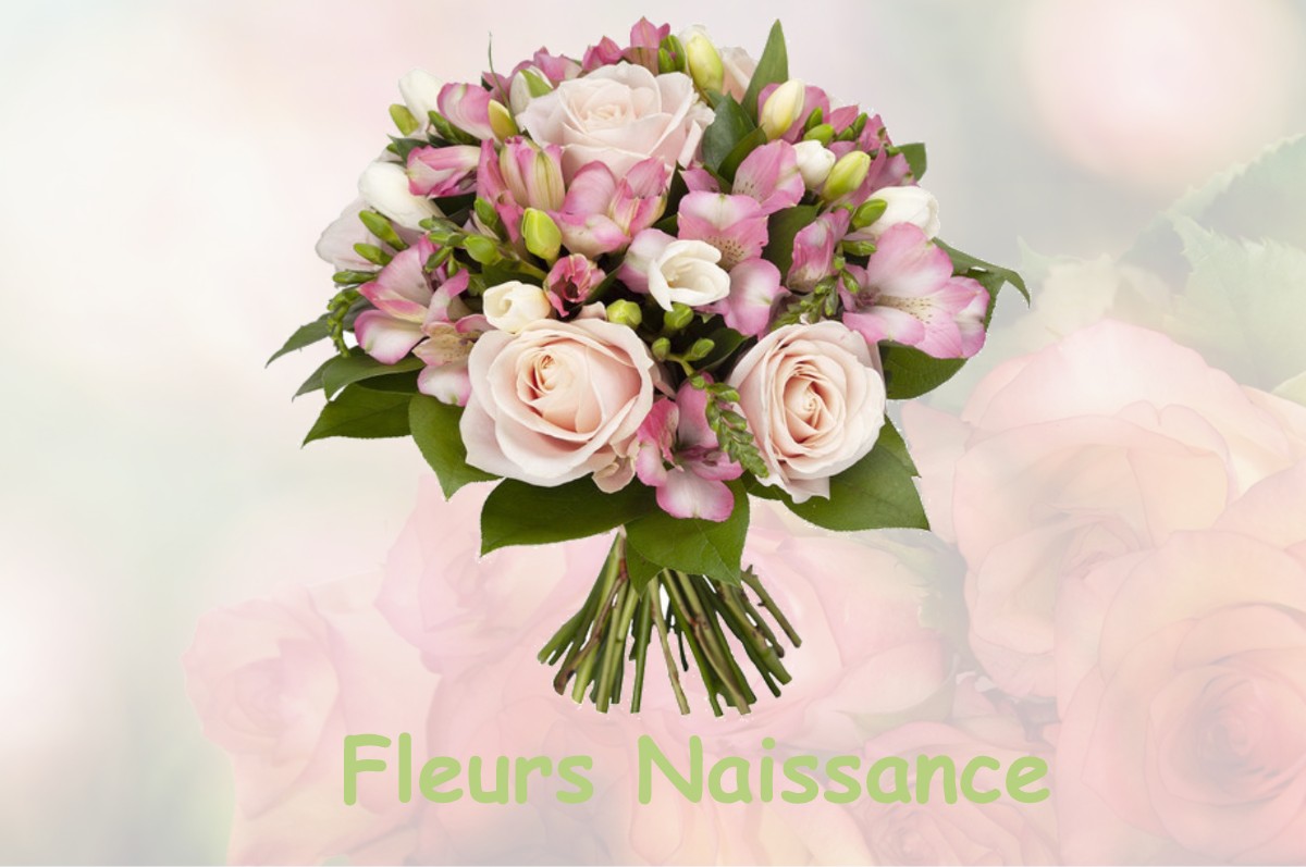 fleurs naissance PUCEUL