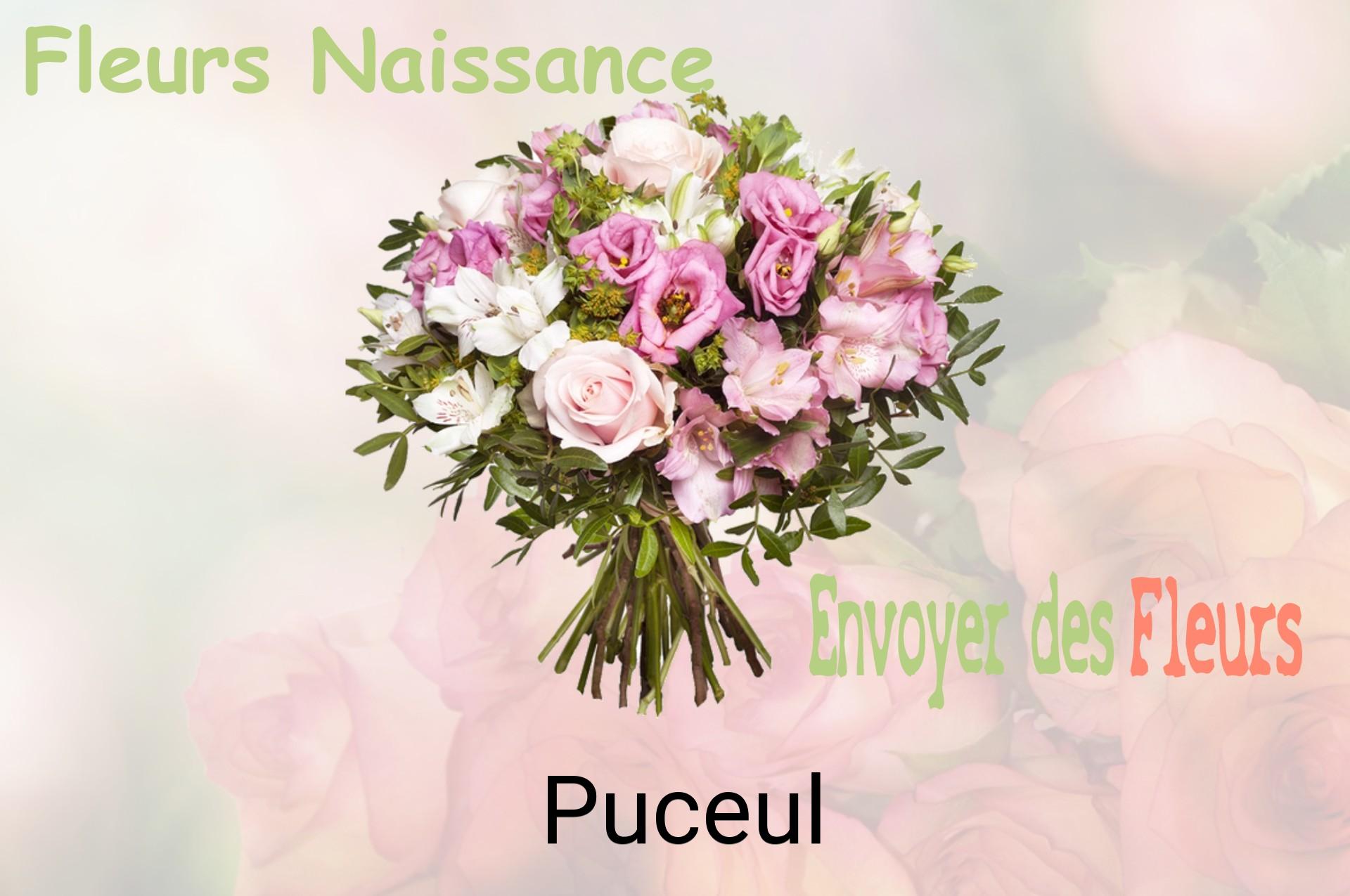 Bouquet de fleurs de naissance livré à Puceul