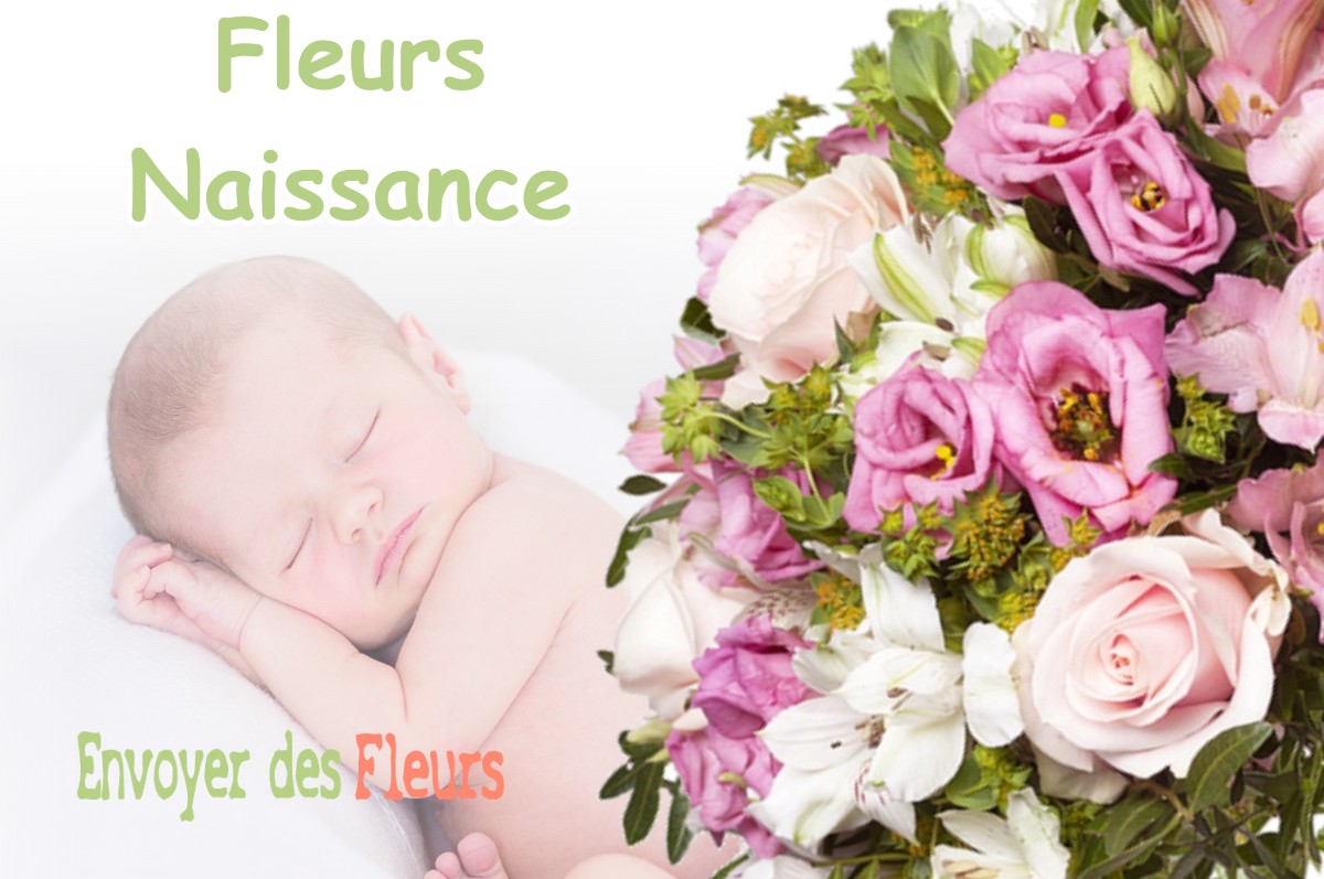 lIVRAISON FLEURS NAISSANCE à PUCEUL