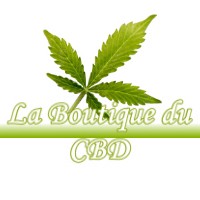 LA BOUTIQUE DU CBD PUCEUL 