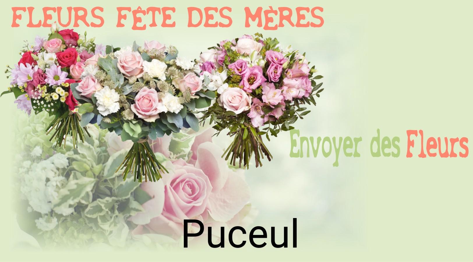 Bouquet de Fête des Mères livré à Puceul